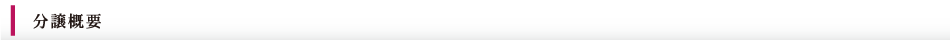 分譲概要