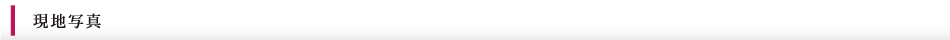 現地写真